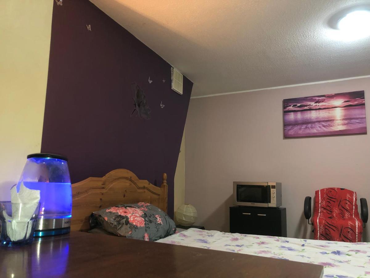 Apartamento Single Large Room Hastings Ngoại thất bức ảnh